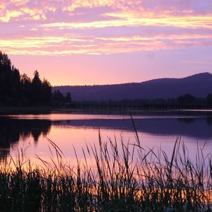 Meet your Posher, Sooō